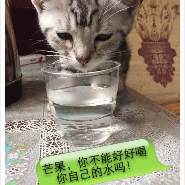 特拉帕尼音乐学院文凭购买